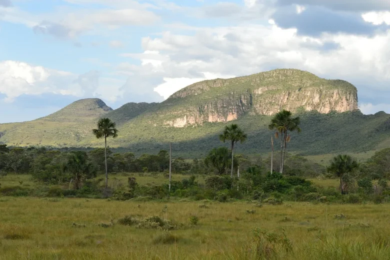 Paisagem de cerrado na chapada dos veadeiros em goias.